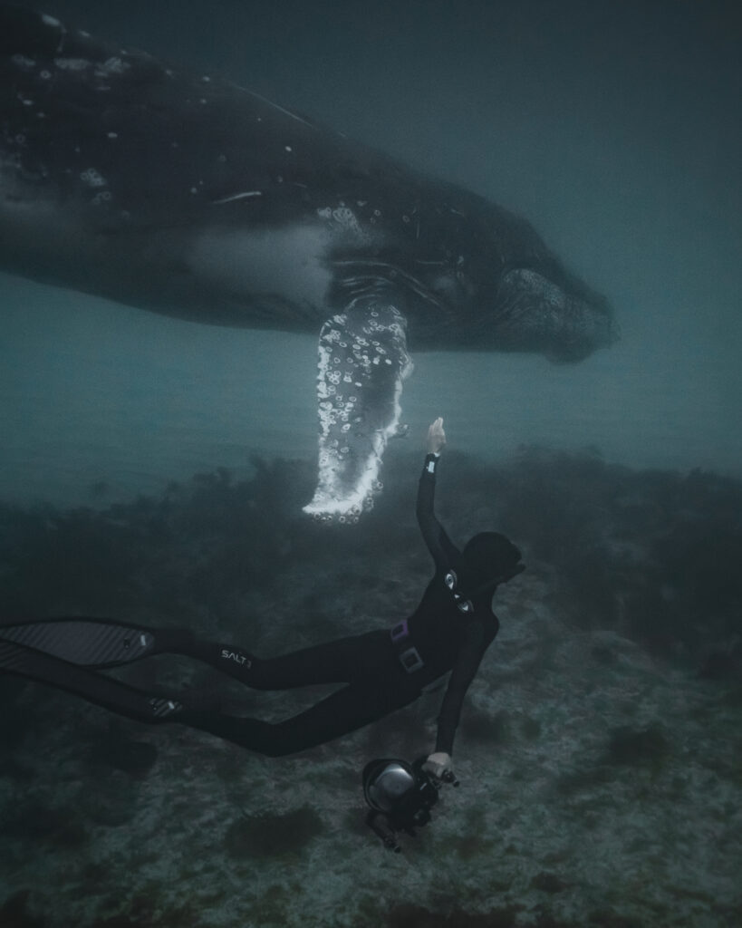 COM_9837-Enhanced-NR